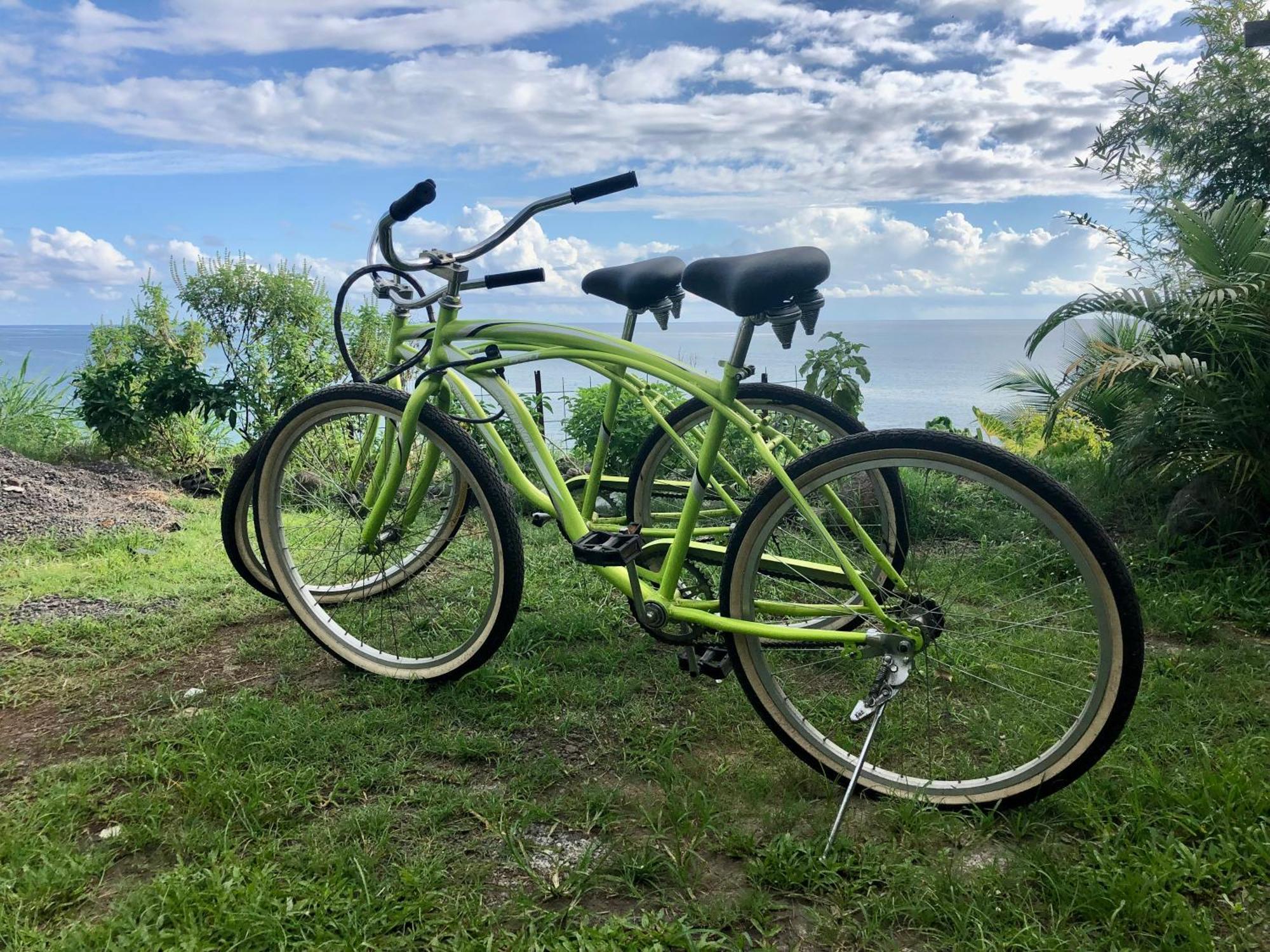 Maui Homestay Vue Ocean Exceptionnelle & Baleines En Saison Tohautu Zewnętrze zdjęcie