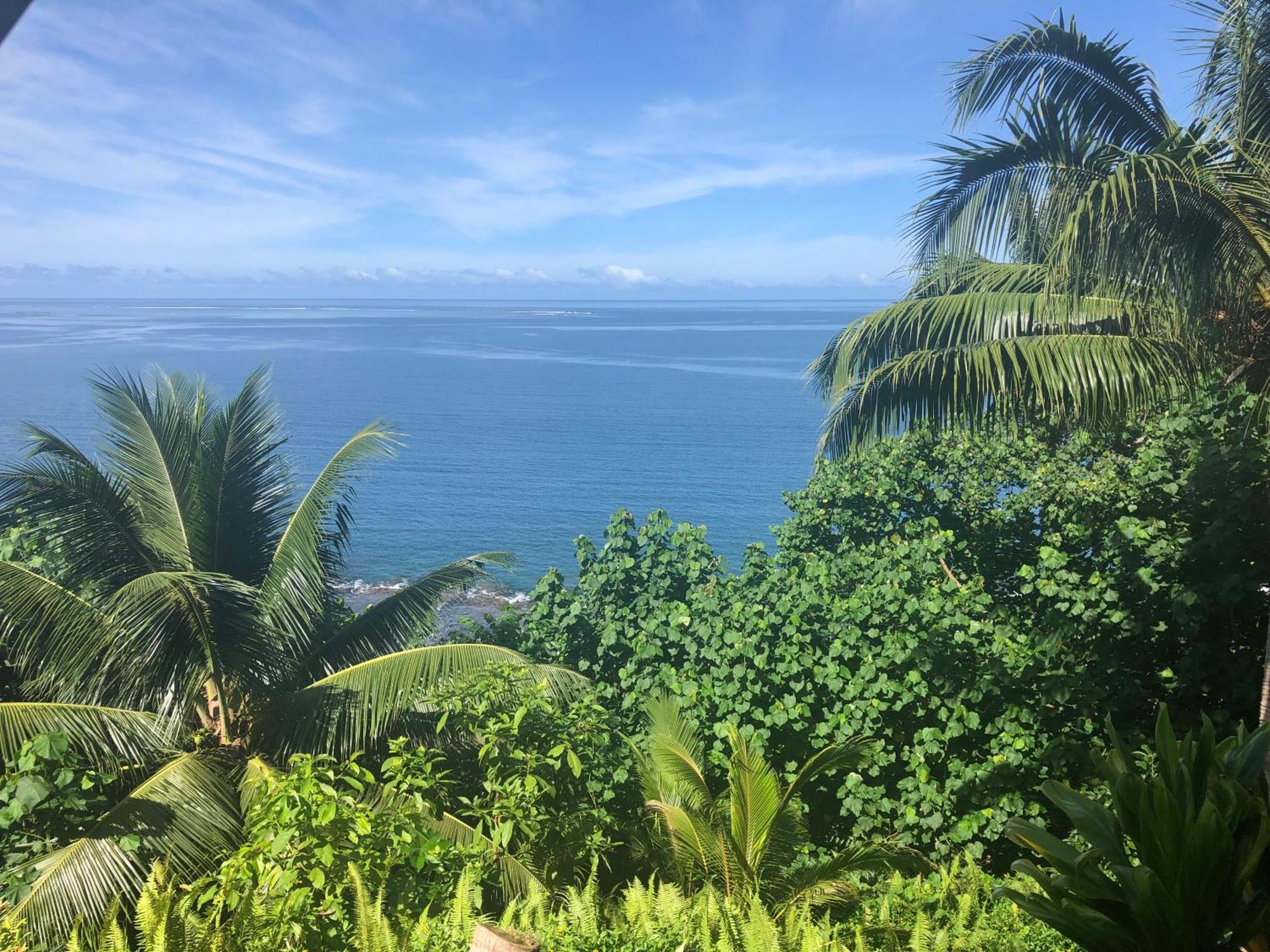 Maui Homestay Vue Ocean Exceptionnelle & Baleines En Saison Tohautu Zewnętrze zdjęcie