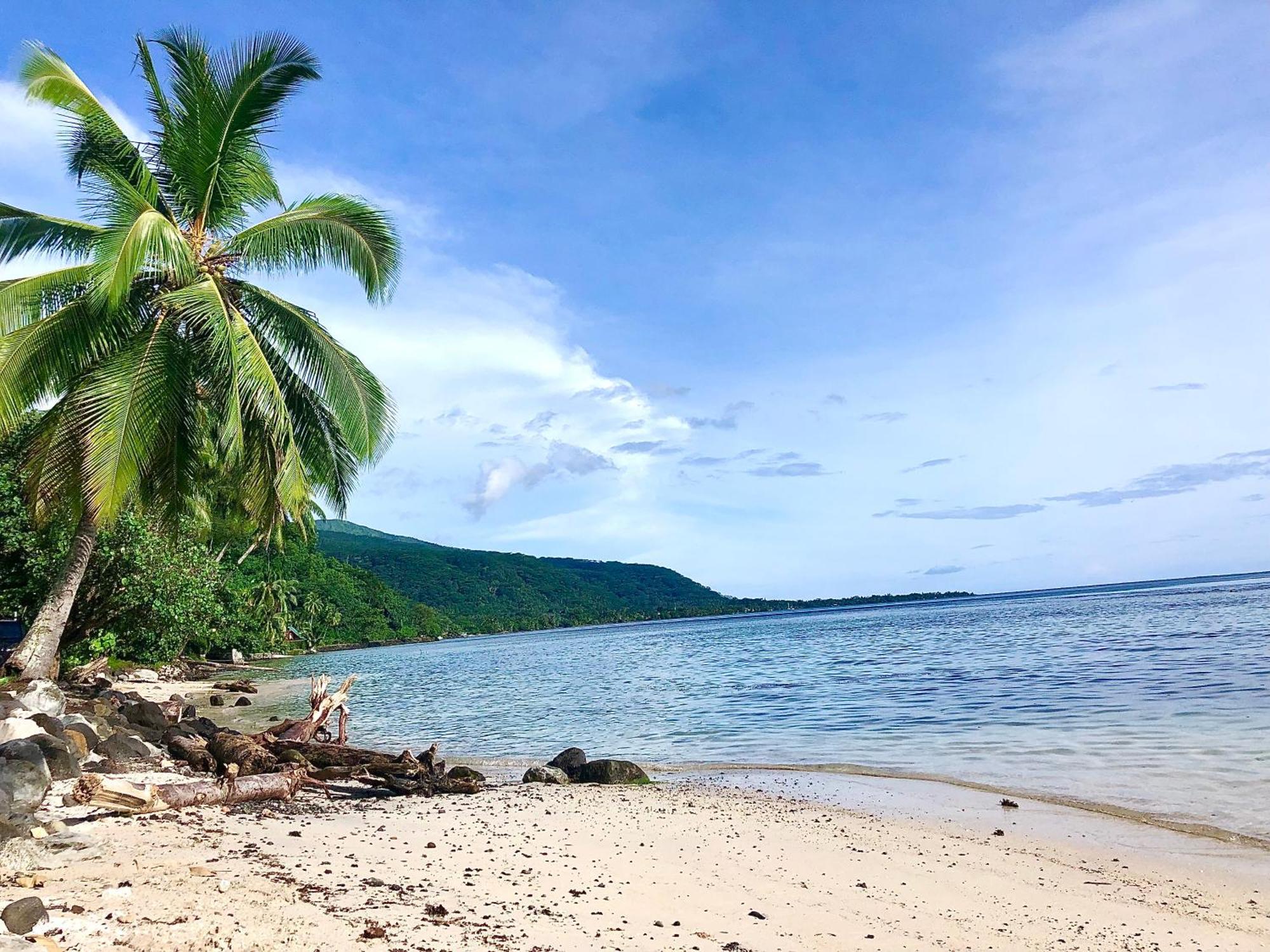 Maui Homestay Vue Ocean Exceptionnelle & Baleines En Saison Tohautu Zewnętrze zdjęcie