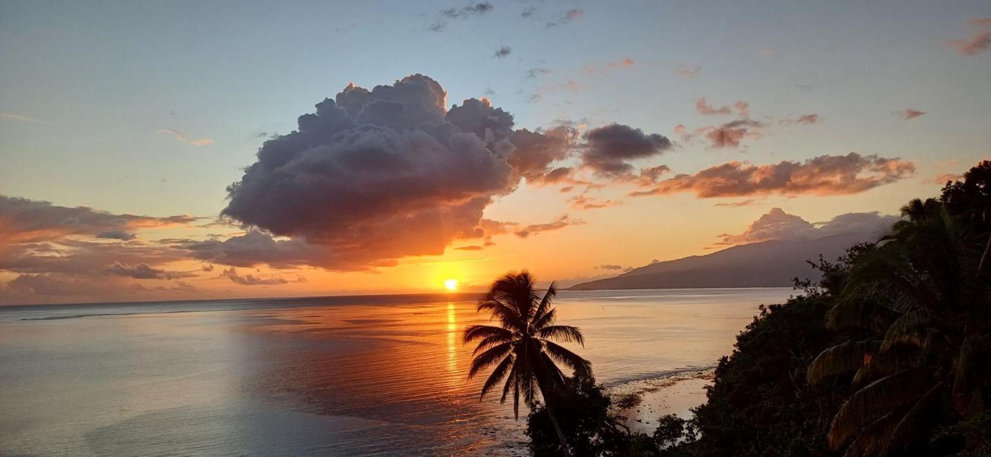 Maui Homestay Vue Ocean Exceptionnelle & Baleines En Saison Tohautu Zewnętrze zdjęcie